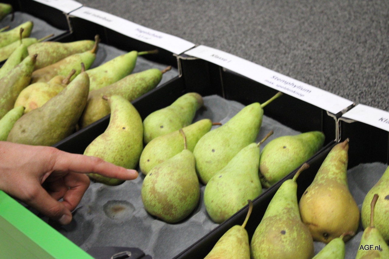 Vlaams actieplan voor jonge boeren positief ontvangen
