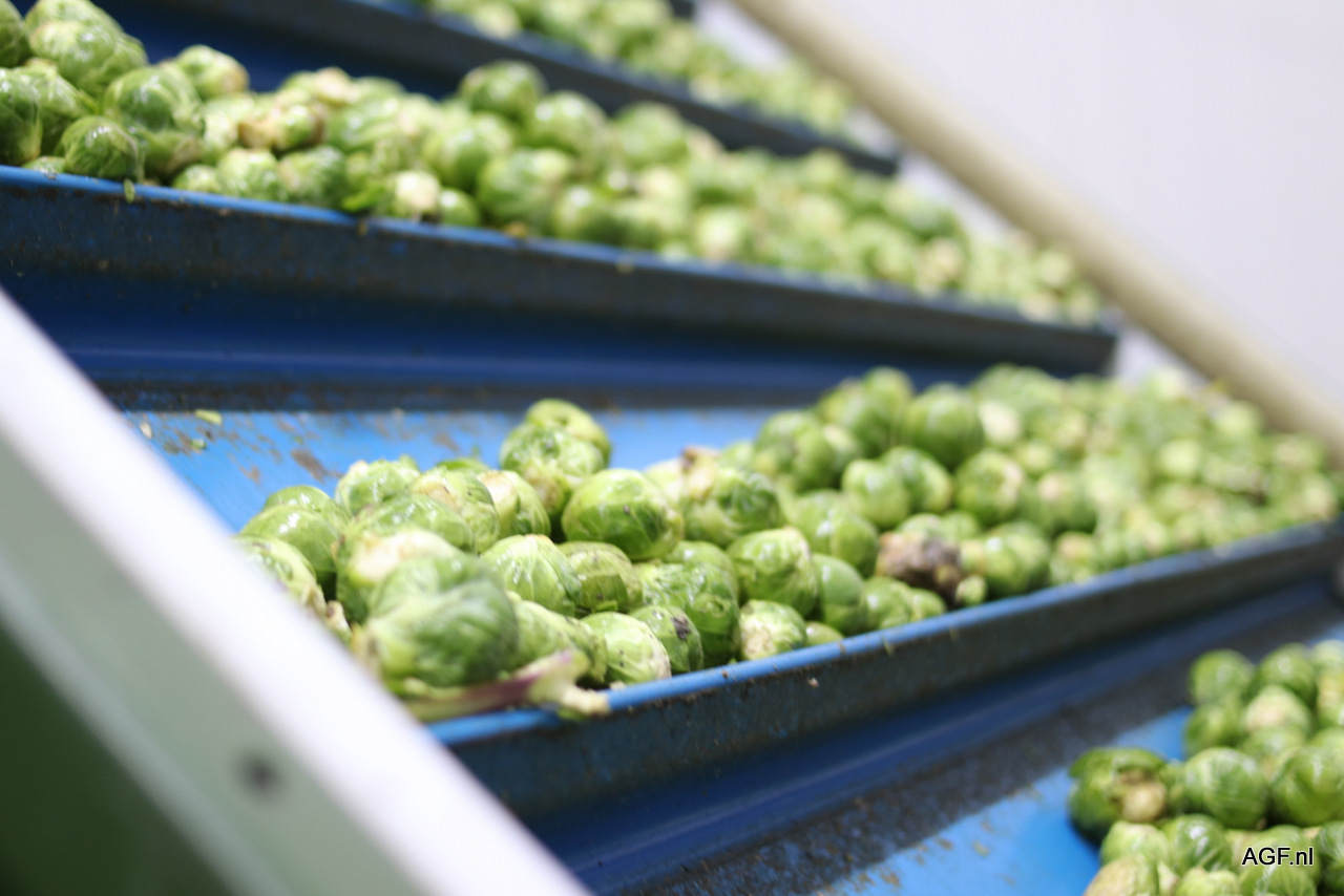 Kwaliteit hoog houden en tarieven laag: Poldermodel in de praktijk bij KCB