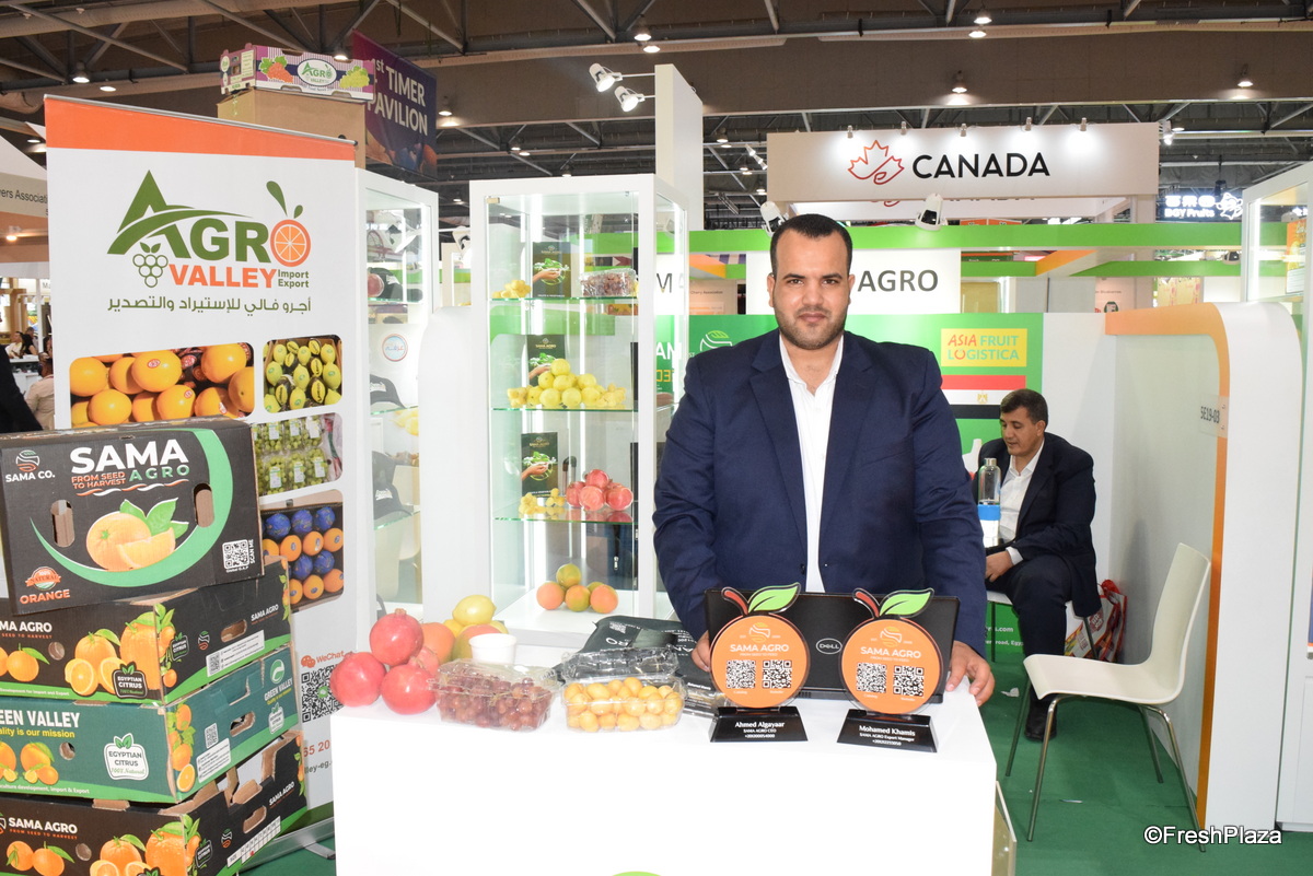 "Vraag naar Egyptische sinaasappelen tot nu toe zeer terughoudend"