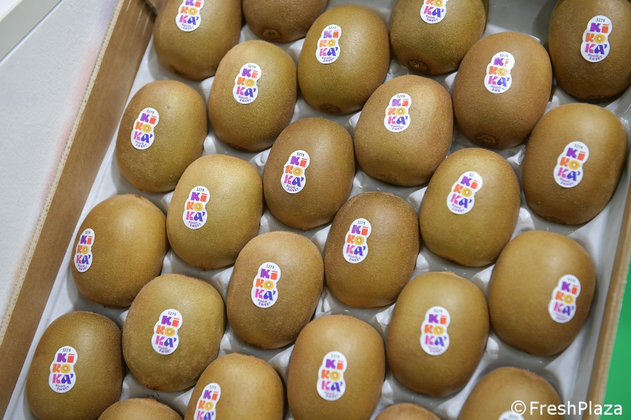 Kikokà verwacht verdubbeling van kiwi-oogst komend seizoen