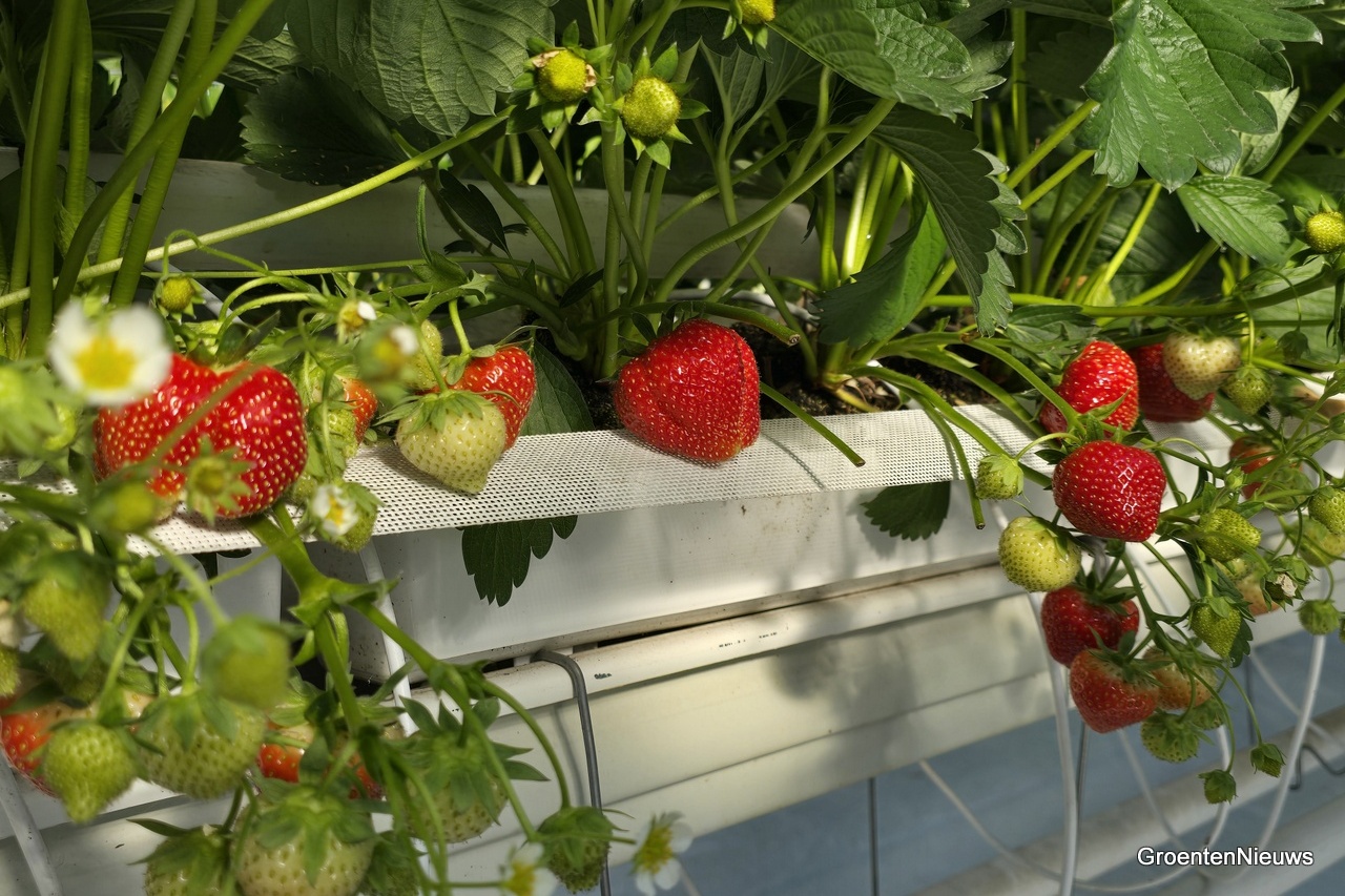 “Wat als je het onvoorspelbare wel zou kunnen voorspellen?"