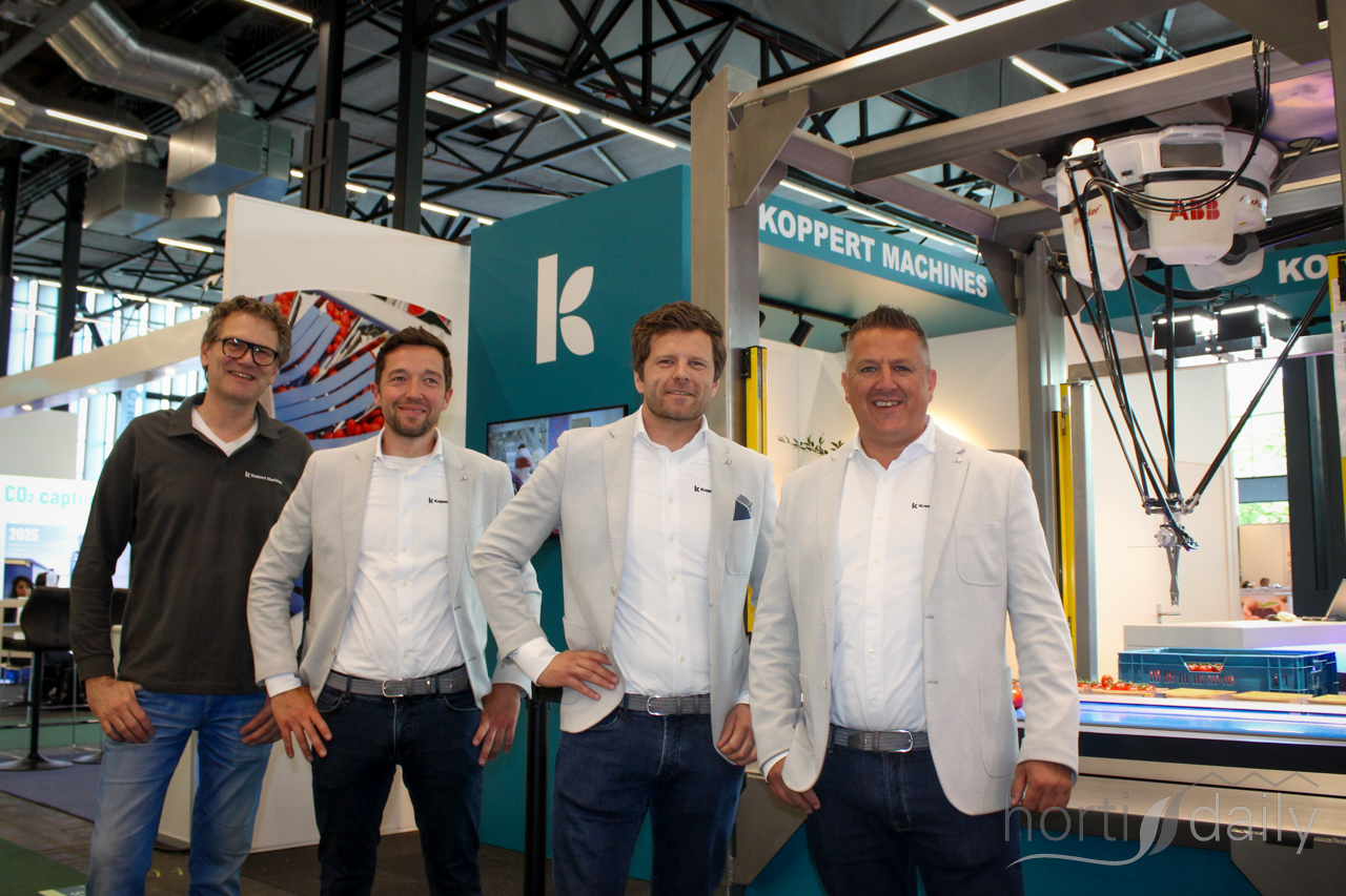 Automatisering voor verpakken trostomaten