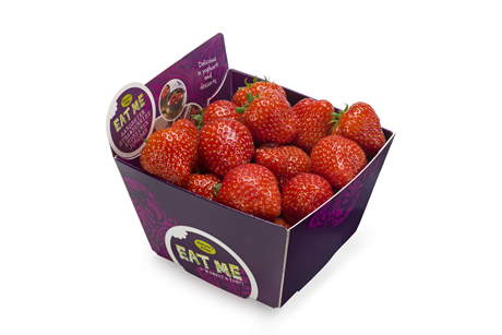 New Eat Me Strawberry Punnets,Virginia Sweetspire In Winter
