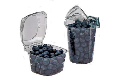 "In Europe, the large blueberry stocks will run out in the next ten days" - Vimarsana News