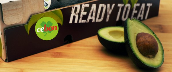 "Limited supply and boat delays causing shortage on the avocado market" - Vimarsana News