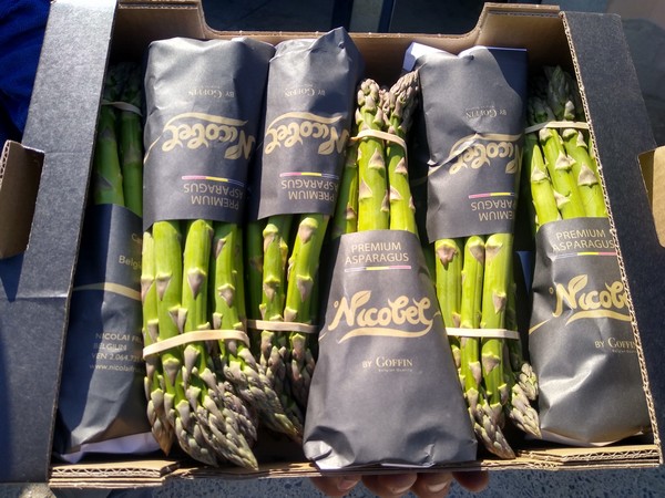 Belgian Green Asparagus Gains Popularity,Hooded Scarf Crochet Pattern