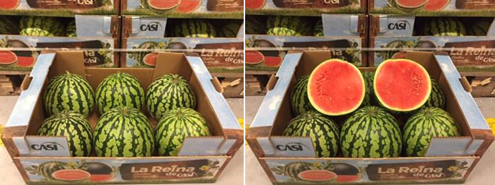prijzen voor watermeloenen zien we zelden zo'n lange periode"