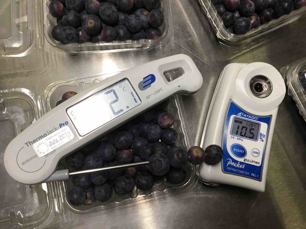 carsolbio "Unusually early demand in Europe for overseas organic blueberries"