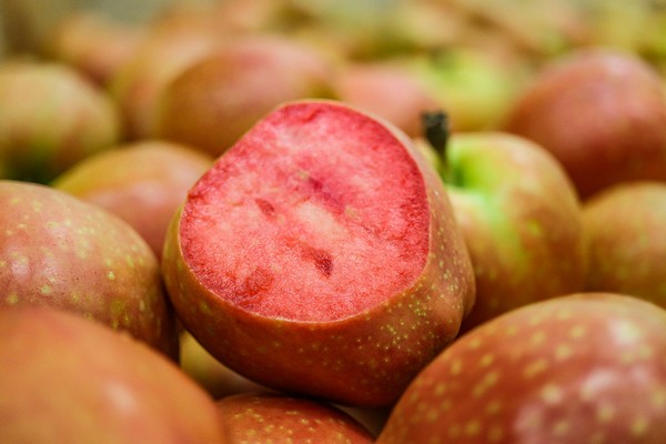 Verward Hubert Hudson anker Eerste Kissabel Red-appels in oktober op de markt