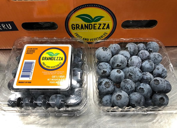 Grandezza Branded Peruvian Blueberries Off To A Good Start