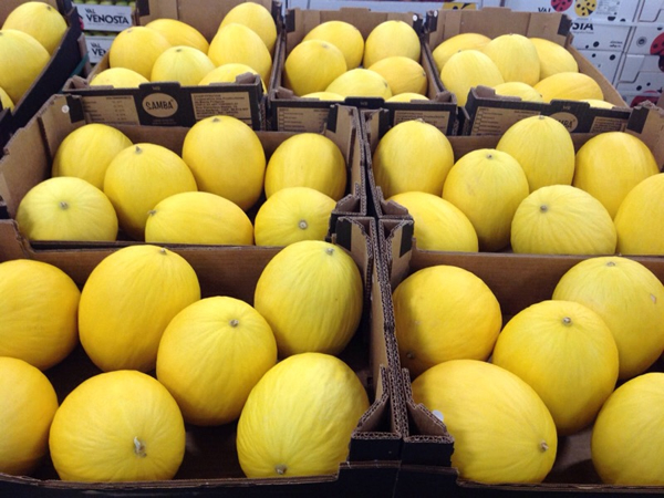 "Renewed demand on melon market, after some tough weeks" - Vimarsana News