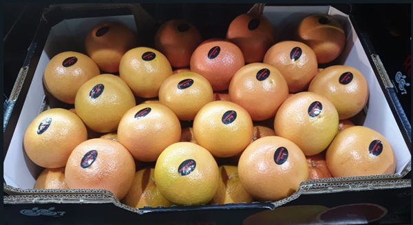 Grapefruit An Increasingly Important Item On The Shelf