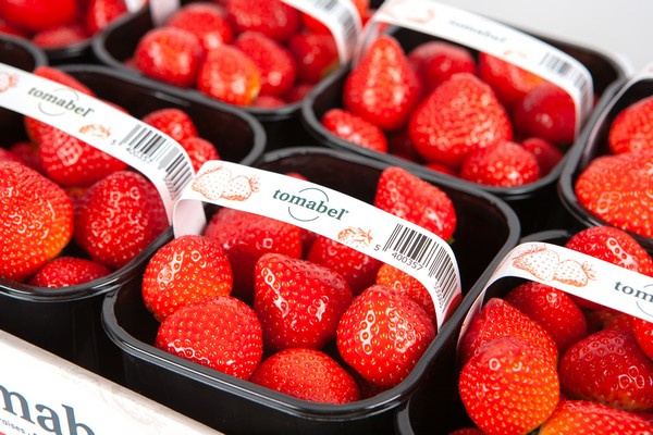 "Coming period going to be great for Belgian soft fruit" - hortidaily.com