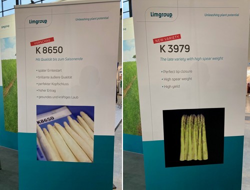 Nieuw Aspergeras En Corporate Identity Voor Limgroup