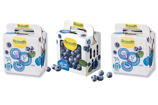 Driscoll's Driscoll's Jumbo Blueberries