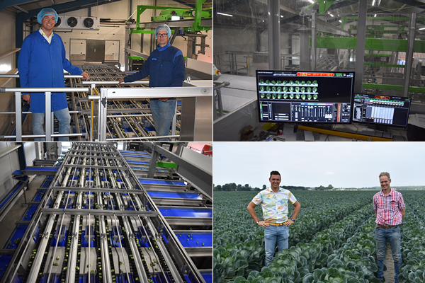 "Optical Brussels sprout sorter means clients get exactly what they want" - Vimarsana News
