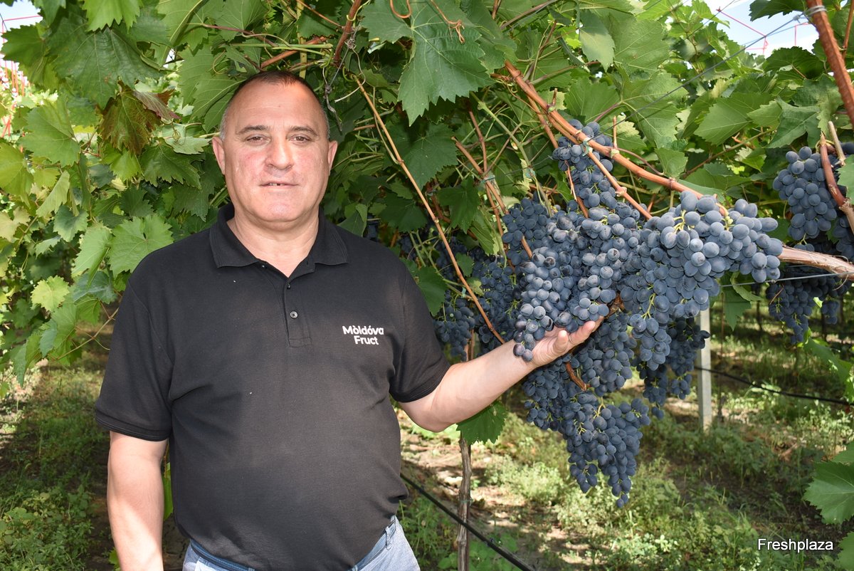"After the second embargo in 2014, the fruit sector began shifting up a gear" - Vimarsana News