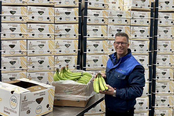 “Spotprijs bananen blijft achter, afzet bio-bananen een lichtpuntje