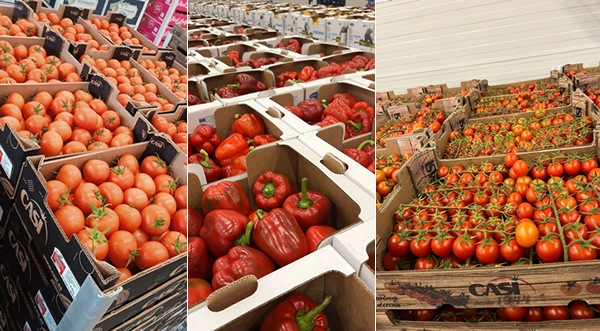 "Cautious drop in price of Spanish peppers sets in, tomatoes still 'insanely expensive'" - Vimarsana News