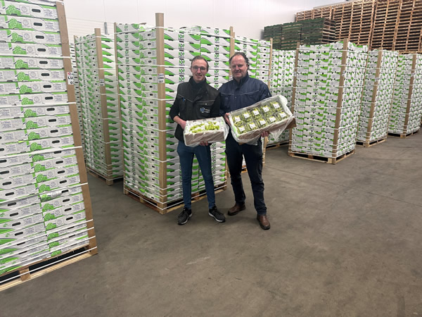 "Fewer than expected Indian grapes being shipped" - Vimarsana News