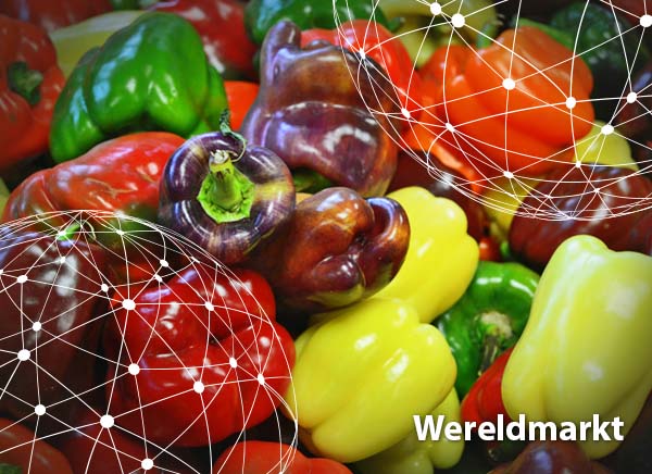 Overzicht Wereldmarkt Paprika: Spaanse Paprika'S Domineren Nog