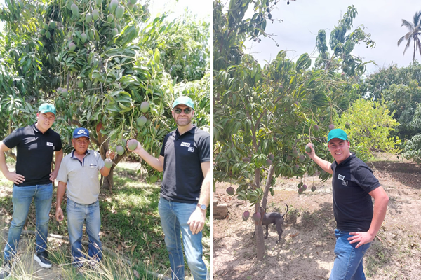 "We deliberately began importing organic Argentine pears later" - Vimarsana News