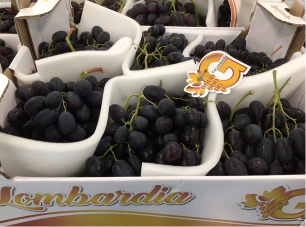 "Sicilian grapes off to a good start in empty market" - Vimarsana News