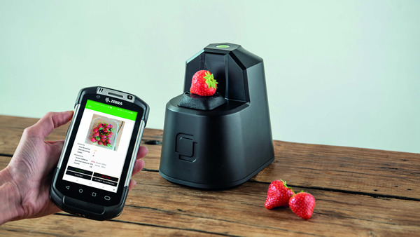 AI-powered produce scanners to put an end to wasted strawberries - Vimarsana News