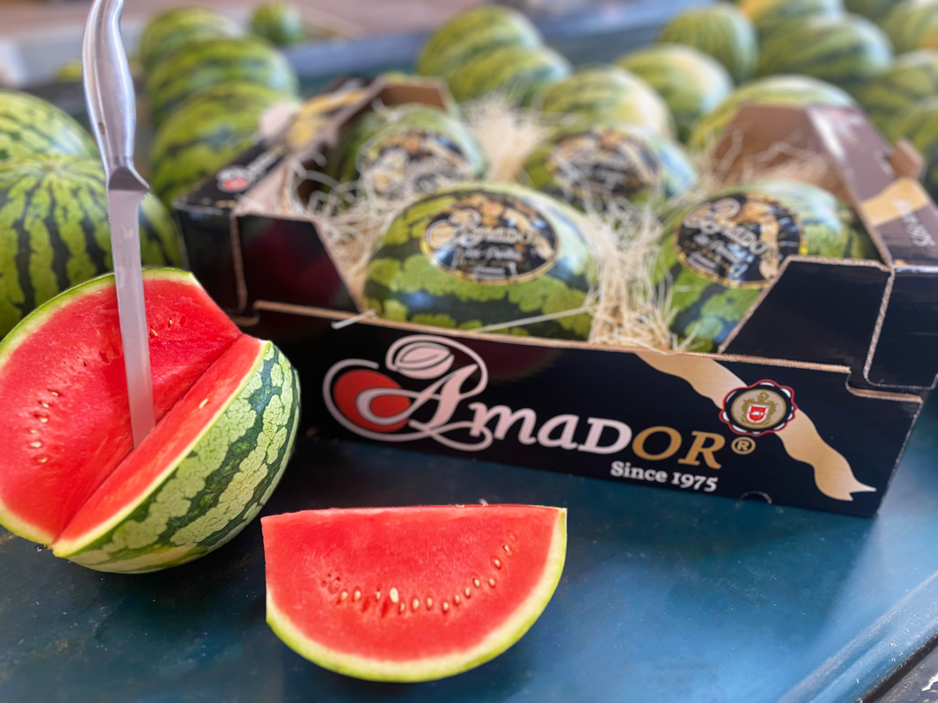 "Spanish watermelon supply still extremely limited" - Vimarsana News