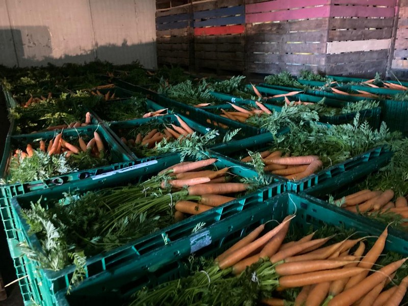 "Bushel carrot demand seems to have recovered after the summer vacation" - Vimarsana News