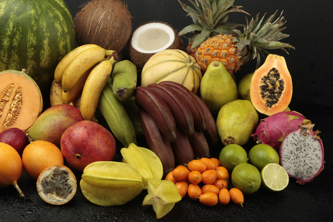 Wereldwijd Uitgelicht Exoten van start