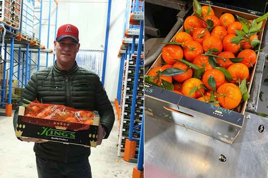 "Though they often taste better, it's increasingly hard to sell small citrus" - Vimarsana News