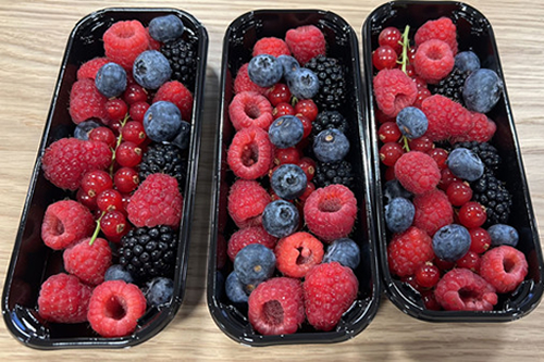 "Peruvian berry shortage will continue in the coming season" - Vimarsana News