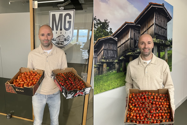 "Spanish fruiting vegetable prices still modest due to overlap with Dutch season"