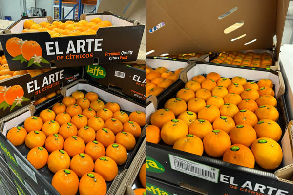 "Egyptian Valencias will bring relief to juicing orange market after long pricey period" - Vimarsana News