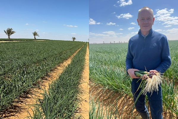 "With the arrival of the first Egyptian red onions, it seems the period of shortages and high prices is coming to an end" - Vimarsana News
