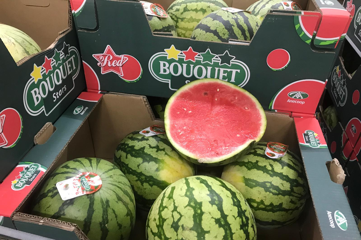 "Broad European demand makes Spanish growers enthusiastic about Piel de Sapo and yellow melons" - Vimarsana News