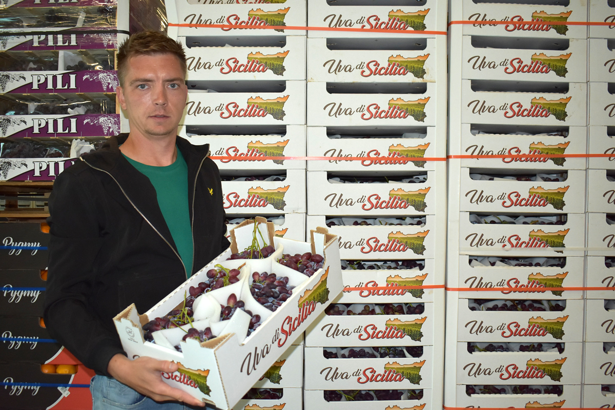 "Prima vooruitzichten Italiaans druivenseizoen"