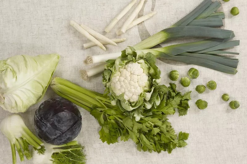 "Prei en witlof profiteren van winterweer, maar effect bij spruiten blijft uit"