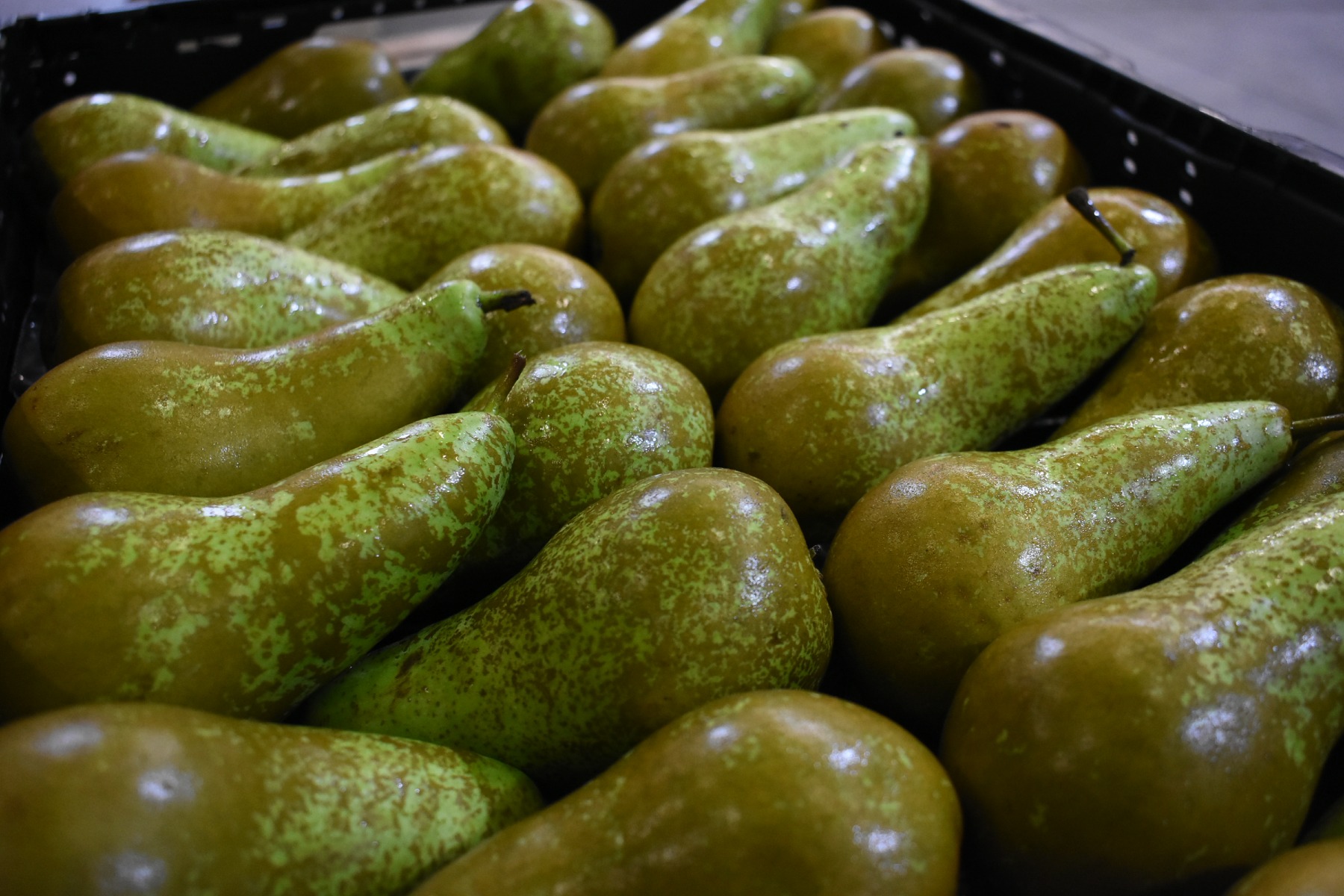 "Prijsvorming zal afhangen van vraag of telers tevreden zijn of juist besluiten om wat gas terug te nemen"