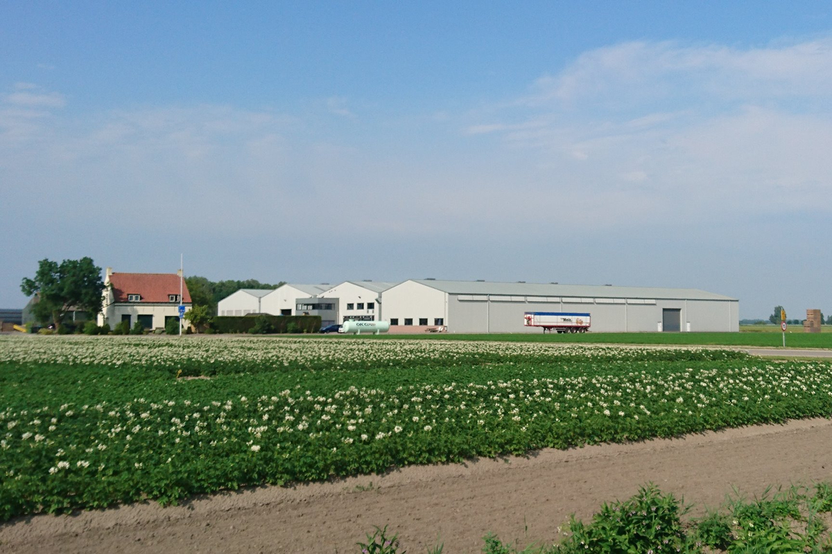 "Of de uienprijs nog opleeft is een verrassing, in de aardappelen is die kans helemaal niet groot"