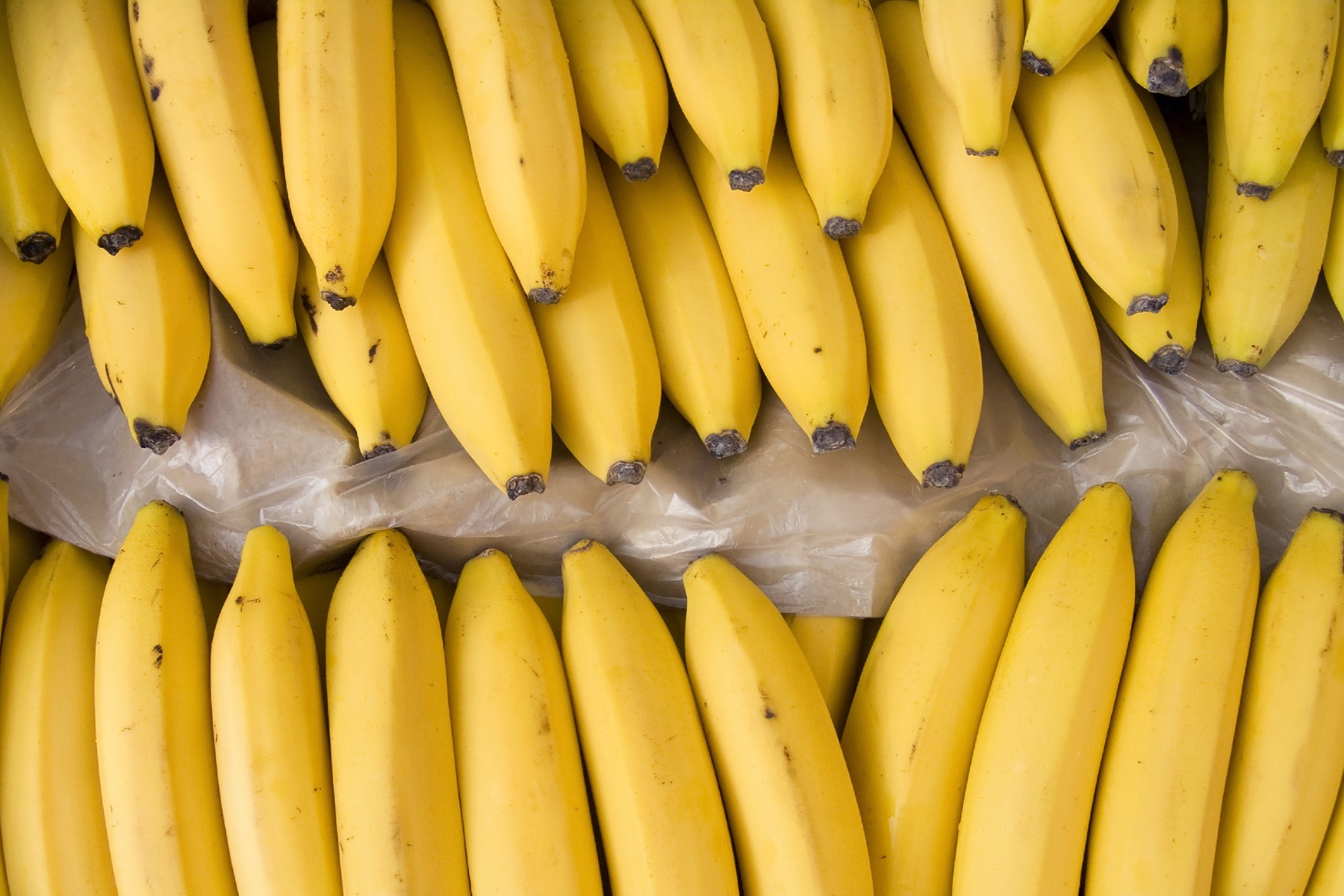 Peru onderschept 3,4 ton cocaïne in bananenlading naar België