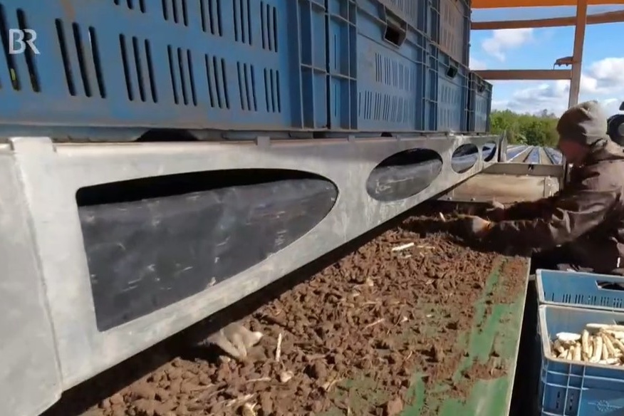 Asperge-oogstmachine op Duitse tv