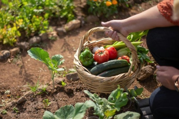 WUR sluit strategisch partnership met EIT Food