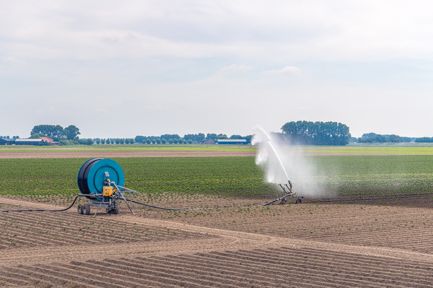 West-Vlaanderen stelt tijdelijk onttrekkingsverbod in vanwege droogte