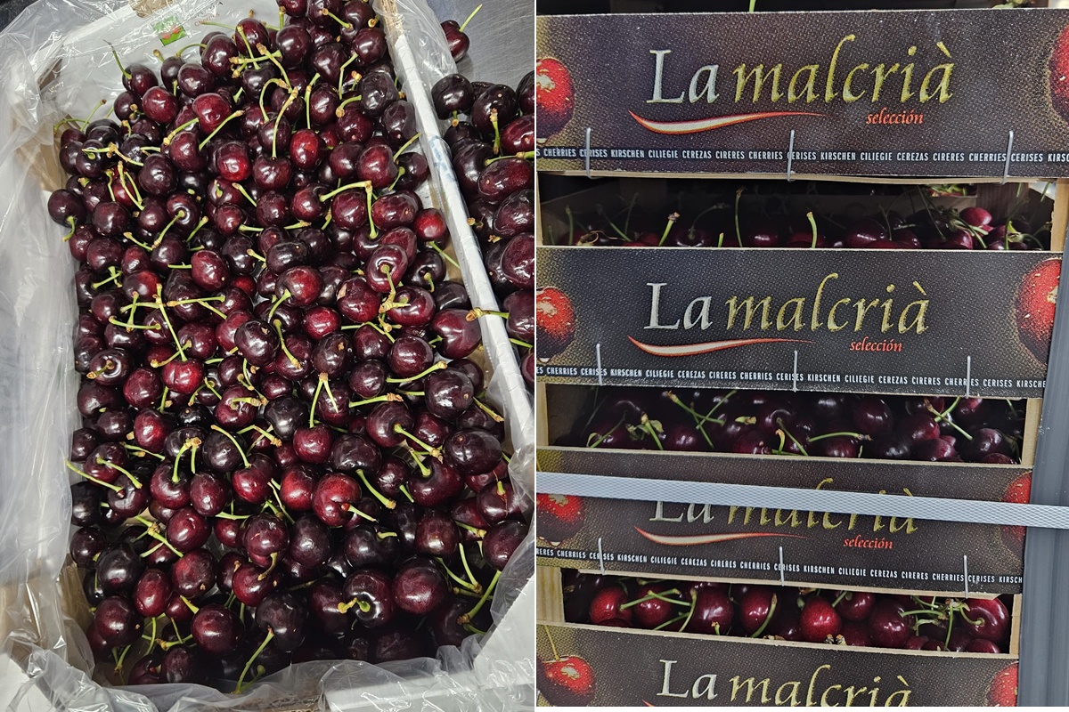 "Voor Spaanse kersen weten klanten ons altijd goed te vinden"