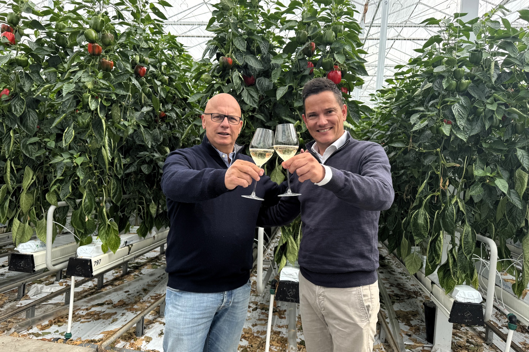 Rob Baan gelauwerd, jubilea, verhuizingen, overlijdens