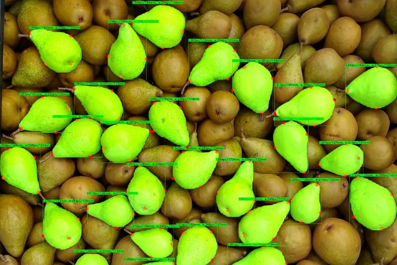 "Intelligent model herkent Oksana Xenia-peren"