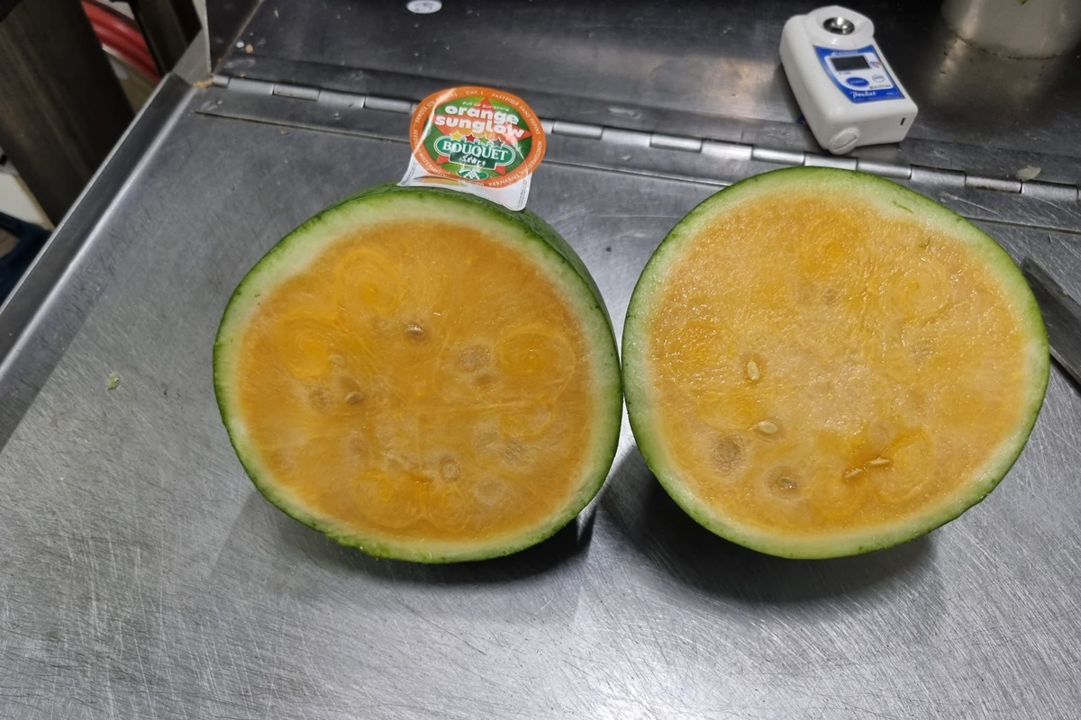 "Ik vind het altijd leuk om nieuwe producten aan de man te brengen"