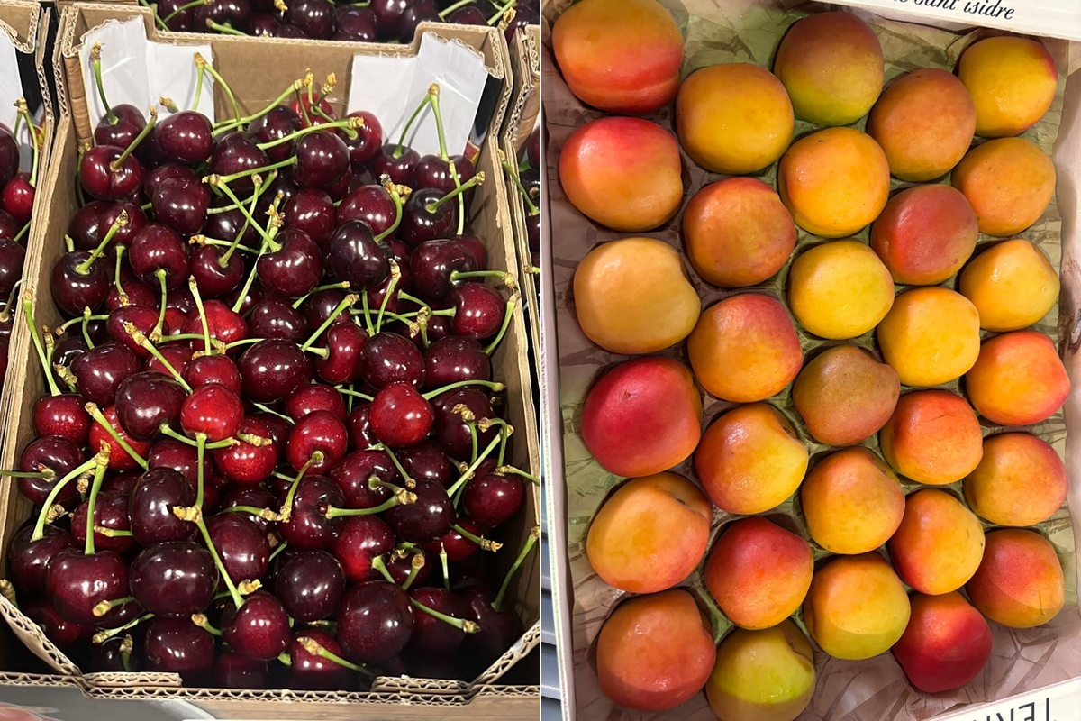 "Meer schwung verwacht in steenfruithandel"